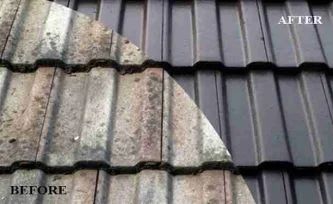 Roof Restoration